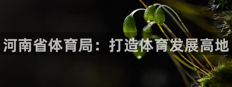 尊龙凯时网站怎么样