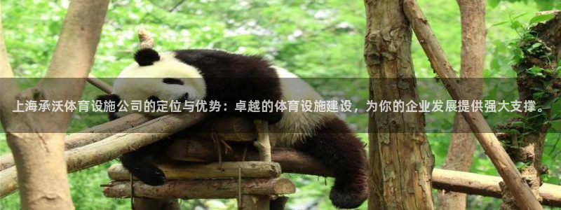 尊龙凯时平台入口