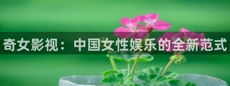 红杏在线：奇女影视：中国女性娱乐的全新范式