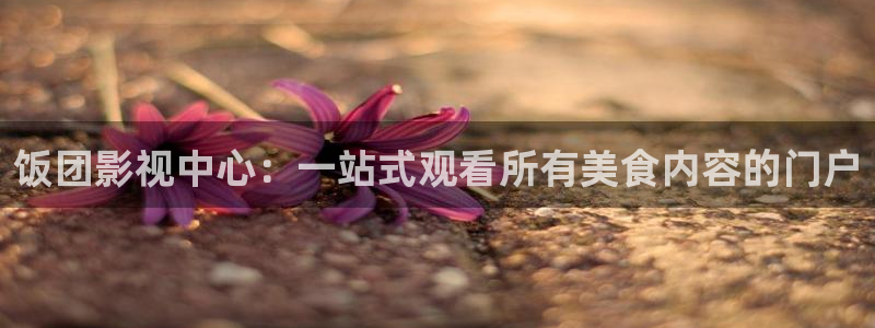 红杏影视最新网址：饭团影视中心：一站式观看所有美食内容的门户