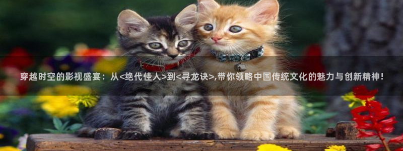 红杏影院免费在线观看：穿越时空的影视盛宴：从<绝代佳人>到<寻龙诀>,带你领略中国传统文化的魅力与创新精神!