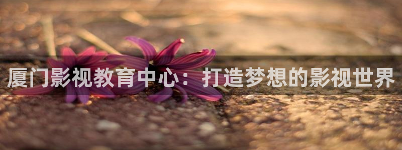 红杏电影在线观看免费高清：厦门影视教育中心：打造梦想的影视世界