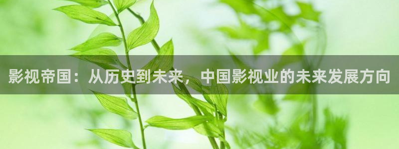 红杏在线播放：影视帝国：从历史到未来，中国影视业的未来发展方向