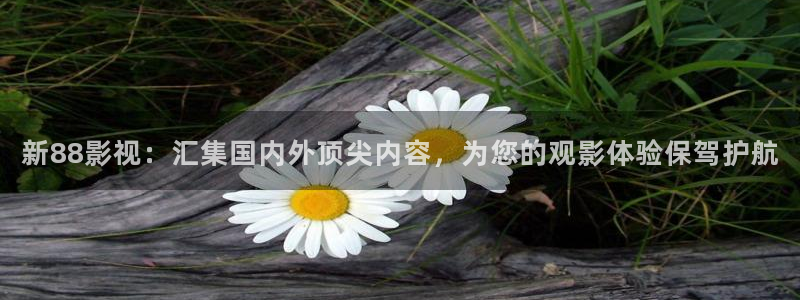 红杏影院免费观看：新88影视：汇集国内外顶尖内容，为您的观影体验保驾护航